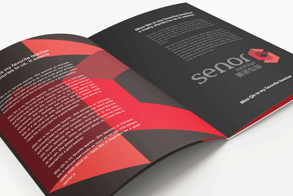 企業(yè)宣傳畫冊設計