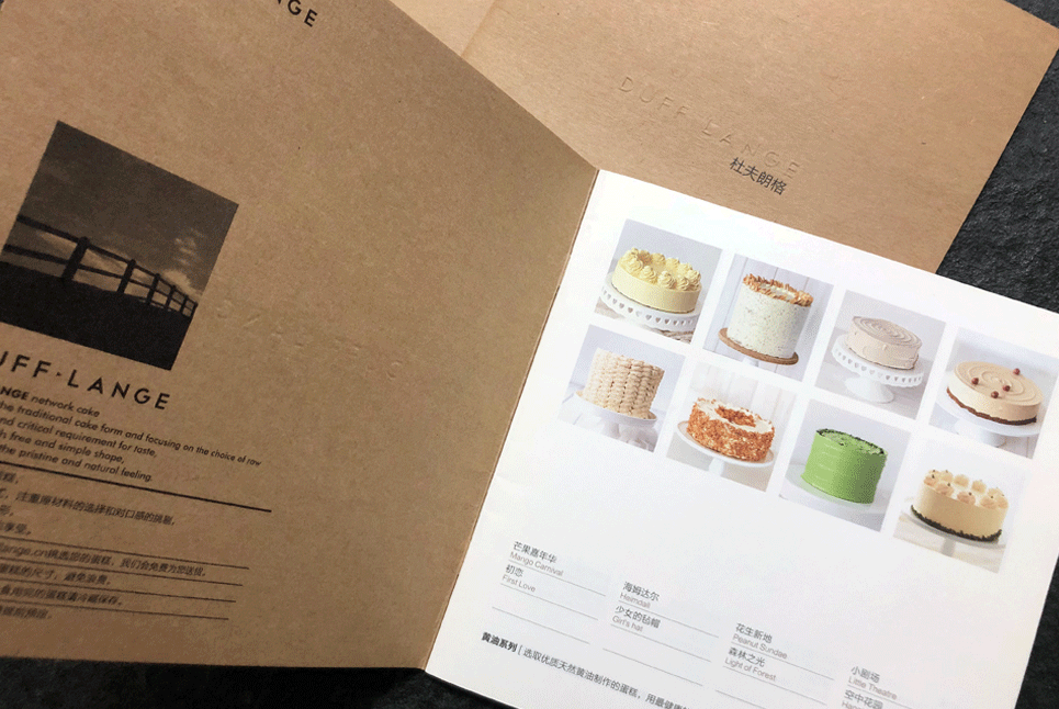 企業(yè)宣傳畫冊(cè)設(shè)計(jì)